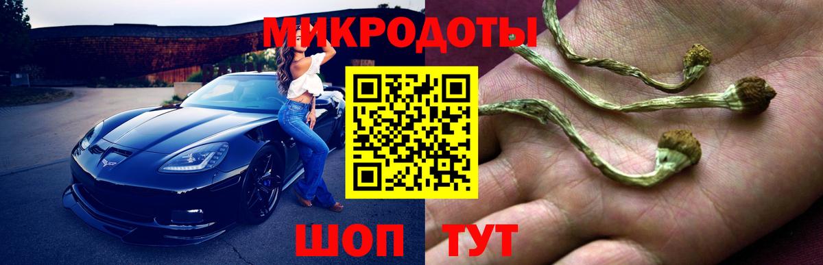Псилоцибиновые грибы GOLDEN TEACHER Крымск