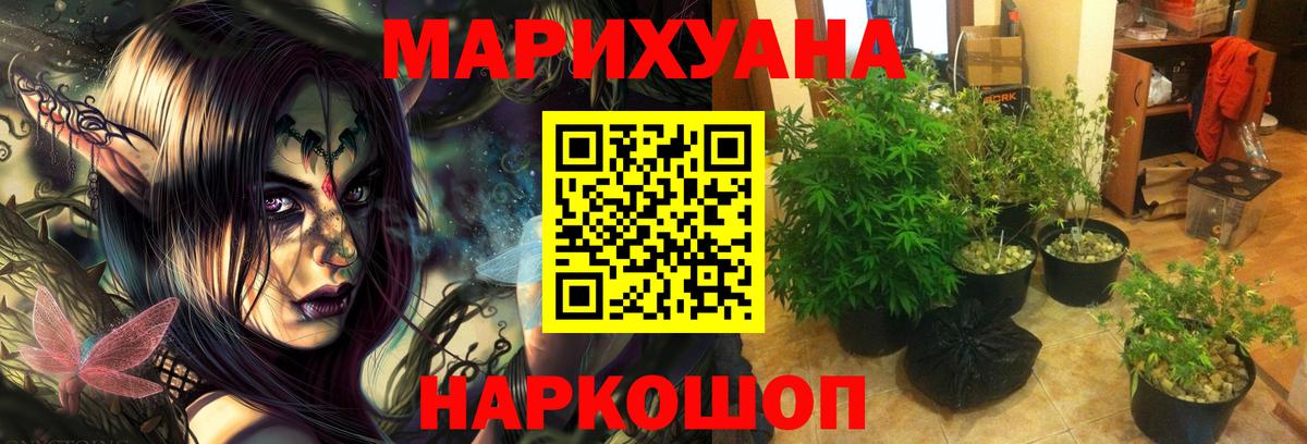 Конопля White Widow  Шишки марихуана LSD WEED  Вход с VPN  МАРИХУАНА тримм  Марихуана LSD WEED  Крымск 